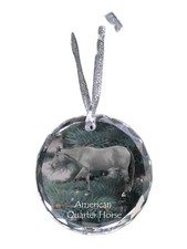 Quarter Horse américain