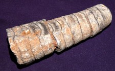 Belemnite maroc bonne - belemnite,, maroc,