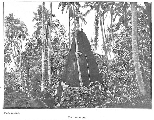 illustration 1906