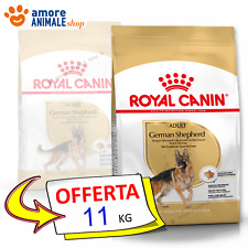 Royal Canin Chien → Adulte