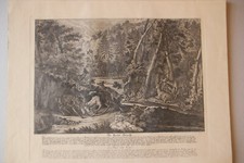 Retirage XIXe d'une gravure de RIDINGER (XVIIIe). " Le rut du cerf....."