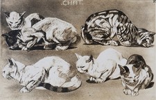 Mathurin MEHEUT : Le Chat