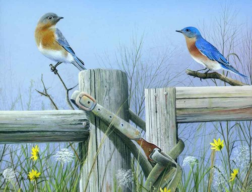 Blue bunting accent - blue, decor