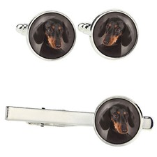 Teckel à poil ras ensemble de