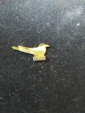 PIN S OISEAU MARIN STERNE SEA