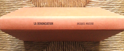 Livre roman dénonciation - livre,