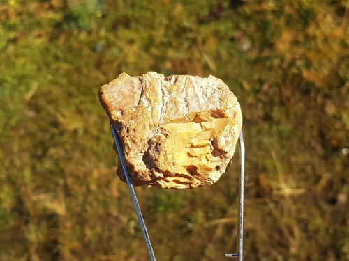 Charente maritime raw - charente-maritime, amber