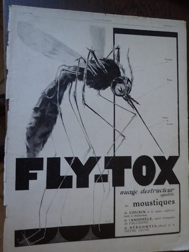 Fly tox concreta molinard - +, +