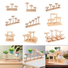 Présentoir en bois, vitrine