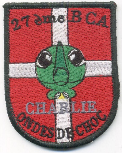 Chasseur alpin bca - alpin, /