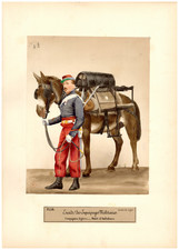 Louise Laffon, Escadrons des équipages militaires, mulet d'ambulance, 1866 