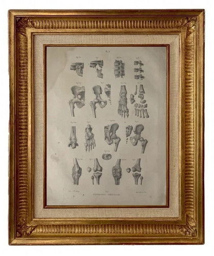 Gravure lithographie xix - gravure, xix°