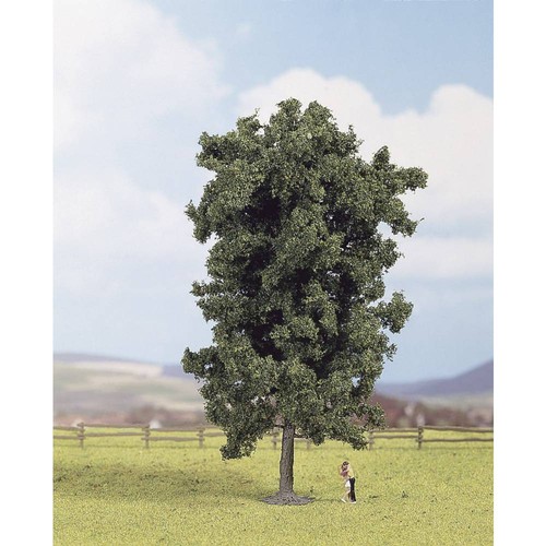 Arbre marronier inde noch - d'inde,
