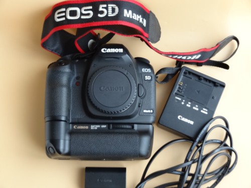 Canon eos mark - 5d,