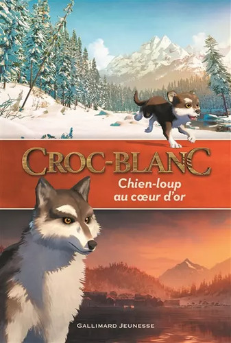 Croc blanc chien loup - croc-blanc : chien-loup, au