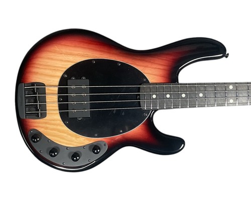 Ernie ball music - man, stingray
