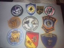 Lot 10 Patchs Cynophile de