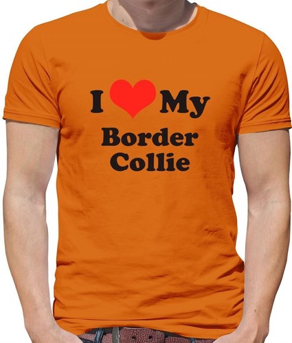 Love border collie - my,