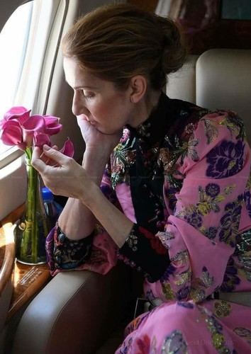 Photo céline dion - a4,