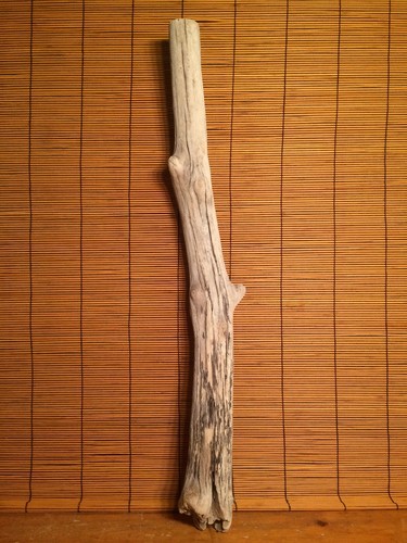 Beautiful driftwood piece - 27",