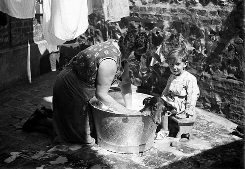 Bain chien dans la - le,