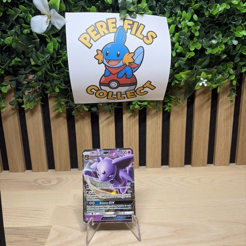 Carte pokémon - 🇫🇷,