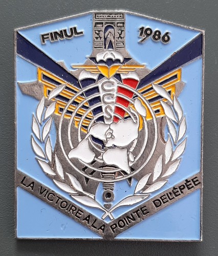 Insigne rcp ccs finul - ccs,