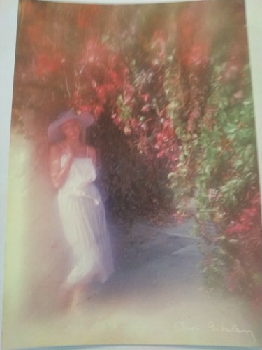 Carte postale vierge photo - carte,