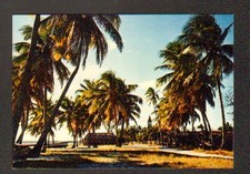 ILE DE LOYAUTE (NOUVELLE