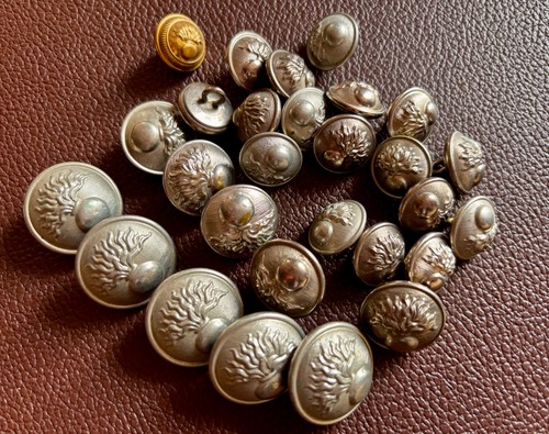 Lot boutons militaires - 28,
