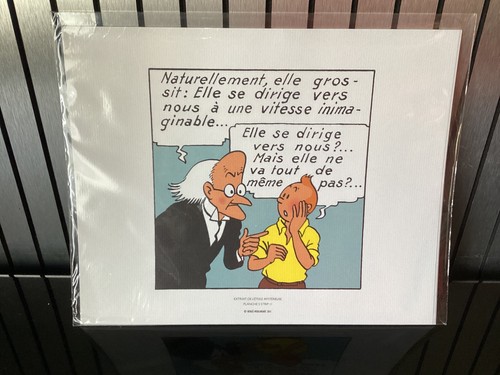 Litho libris tintin extrait - libris,