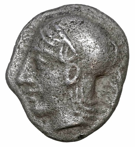 Aeolis elaia diobol - elaia,