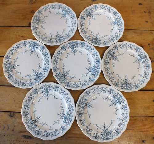 Assiettes plates lg - 7,