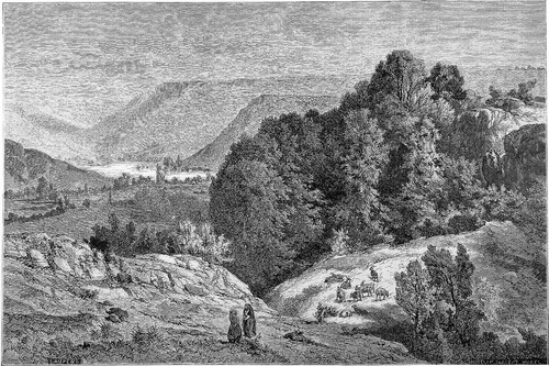 Cantal artense parc - cantal:, (parc
