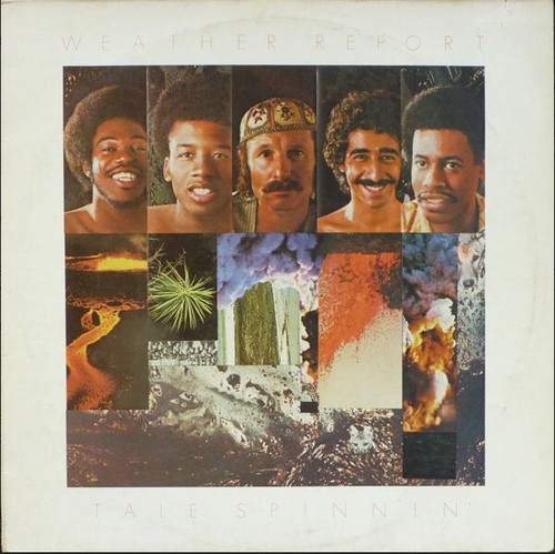 Vinyle weather report - vinyle, "tale