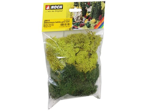 Noch mousse lichen vert 35g - mousse,