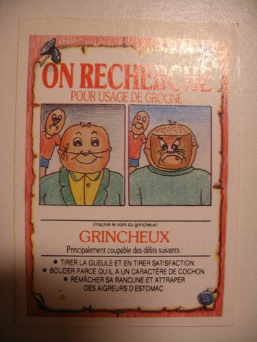 Album panini merlin les - album, crados