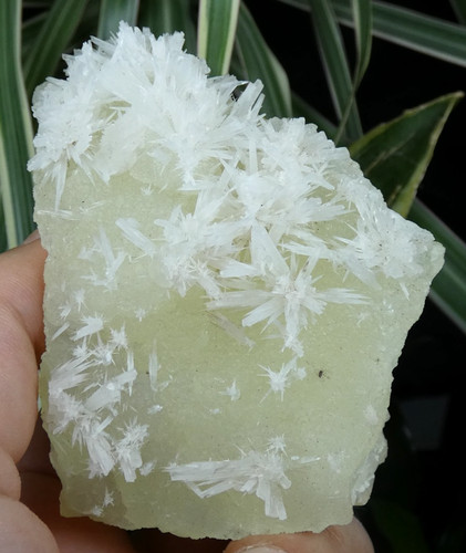 Top aragonite aciculaire blanc - aragonite,