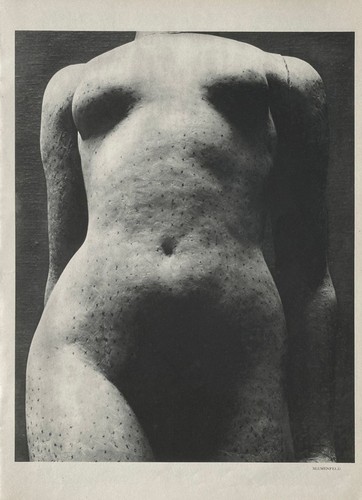 Erwin blumenfeld vintage - erwin,
