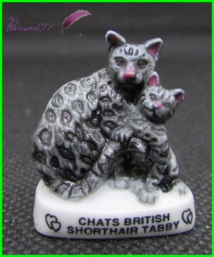 Feve les races chat - les, cat