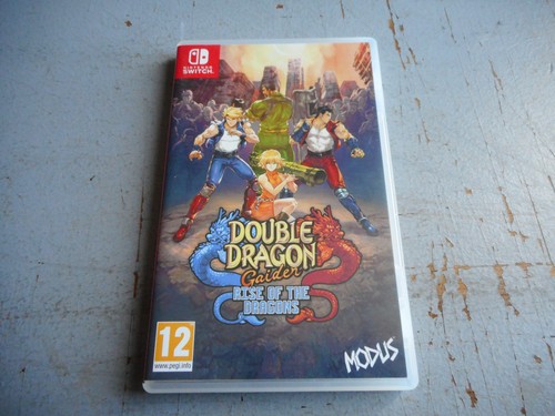 Double dragon gaiden rise of - dragon,