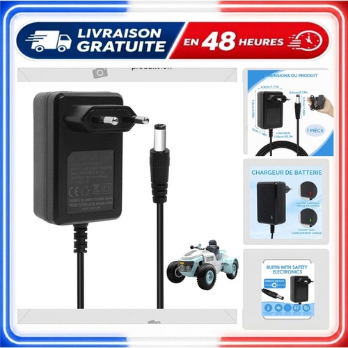 Chargeur 800ma pour voiture - chargeur, 6v