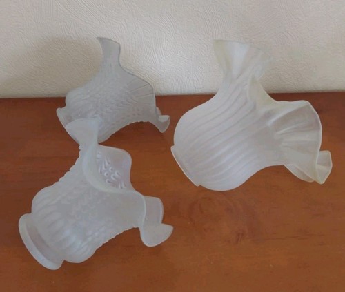 Tulipes verre - en,