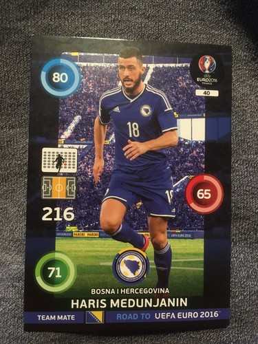 Panini uefa euro - panini,