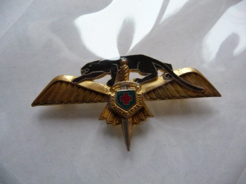 Insigne armée air - insigne,