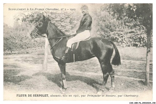 Car abrp6 0572 hippisme - car-abrp6-0572-hippisme,