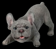 Bouledogue Français Figurine - Chiot Will Jouent - HotAnt Jardin Déco Hauteur 12