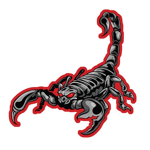 Scorpion noir signe - scorpion, astrologie
