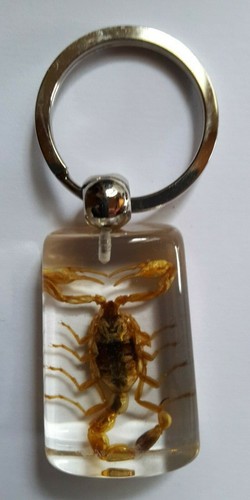 Porte clef insecte - , (scorpion)