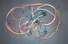 Trailblazer Mini Tractopelle